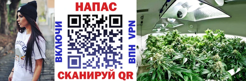 ОМГ ОМГ рабочий сайт  Сельцо  Бошки марихуана план 